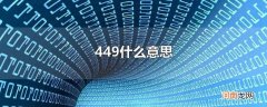 449什么意思