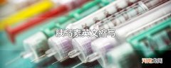 胰岛素英文缩写