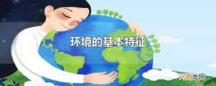环境的基本特征