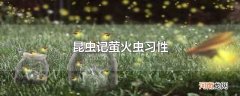 昆虫记萤火虫习性