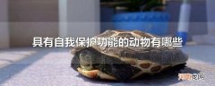 具有自我保护功能的动物有哪些
