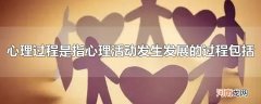 心理过程是指心理活动发生发展的过程包括