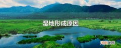 湿地形成原因