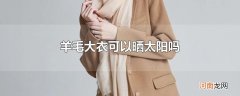 羊毛大衣可以晒太阳吗