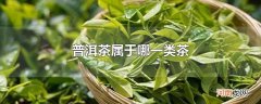 普洱茶属于哪一类茶
