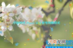 小程序对 iPhoneX 以上型号判断样式