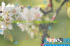 百度小程序 swiper 轮播图自定义组件