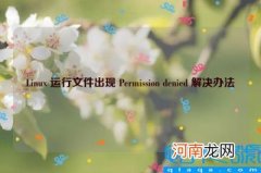 Linux 运行文件出现 Permission denied 解决办法