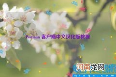 Postman 客户端中文汉化版教程