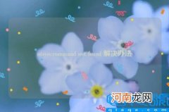 ntsysv:command not found 解决办法