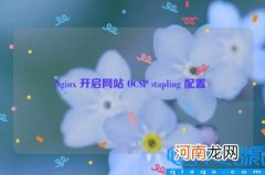 Nginx 开启网站 OCSP stapling 配置