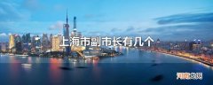 上海市副市长有几个