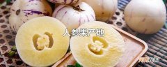 人参果产地