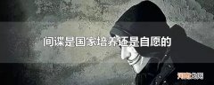 间谍是国家培养还是自愿的
