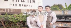 湾仔码头什么梗