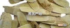黄芪产地