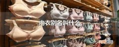 内衣别名叫什么