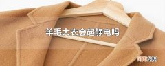 羊毛大衣会起静电吗