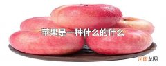 苹果是一种什么的什么