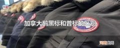 加拿大鹅黑标和普标的区别