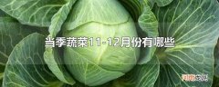 当季蔬菜11-12月份有哪些
