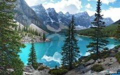 活出自己的霸道句子 带刺高冷短句