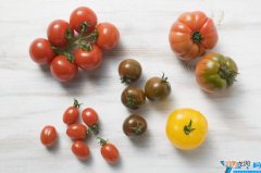 小西红柿与圣女果的区别 小番茄和圣女果一样吗哪个好吃
