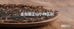 金俊眉正山小种区别