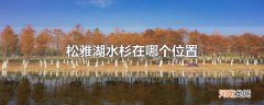 松雅湖水杉在哪个位置
