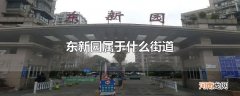 东新园属于什么街道