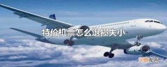 特价机票怎么退损失小
