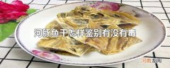 河豚鱼干怎样鉴别有没有毒