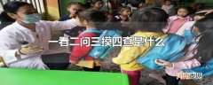 一看二问三摸四查是什么