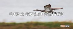 鸟类适应飞翔生活的形态结构特征