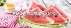 哇这个西瓜真甜啊怎么加标点