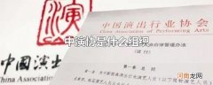中演协是什么组织