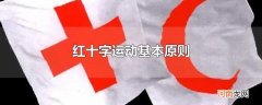 红十字运动基本原则