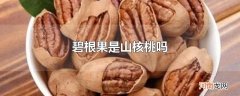 碧根果是山核桃吗