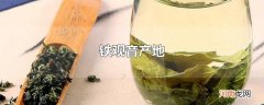 铁观音产地