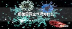 细菌需要空气吗为什么