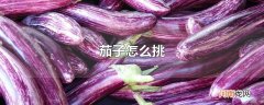 茄子怎么挑