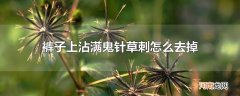 裤子上沾满鬼针草刺怎么去掉