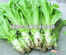 莴苣怎么保存才能保鲜 莴苣可放于冰箱冷藏区保鲜
