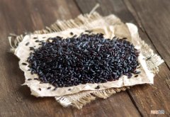 泡过的黑米怎样蒸成米饭 黑米不用泡直接蒸米饭能熟吗