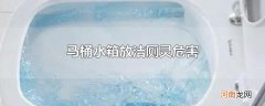 马桶水箱放洁厕灵危害