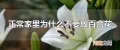 正常家里为什么不要放百合花 养百合花适合放哪里