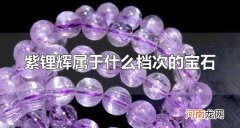 紫锂辉属于什么档次的宝石 紫锂辉宝石贵吗