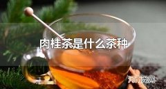 肉桂茶是什么茶种 肉桂茶有什么特点