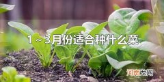 1～3月份适合种什么菜 1～3月份可以种植萝卜吗