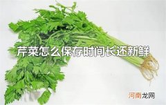 芹菜怎么保存时间长还新鲜 保存芹菜要保持充足的水分